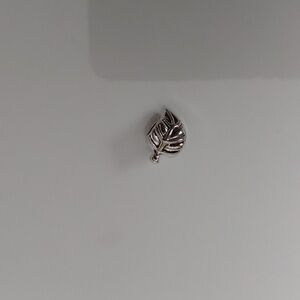Leaf Charm for European Style Bracelets Fits Pandora Systems